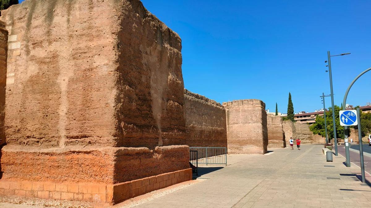 Apartmán Patio De Rivas Y Palma Córdoba Exteriér fotografie